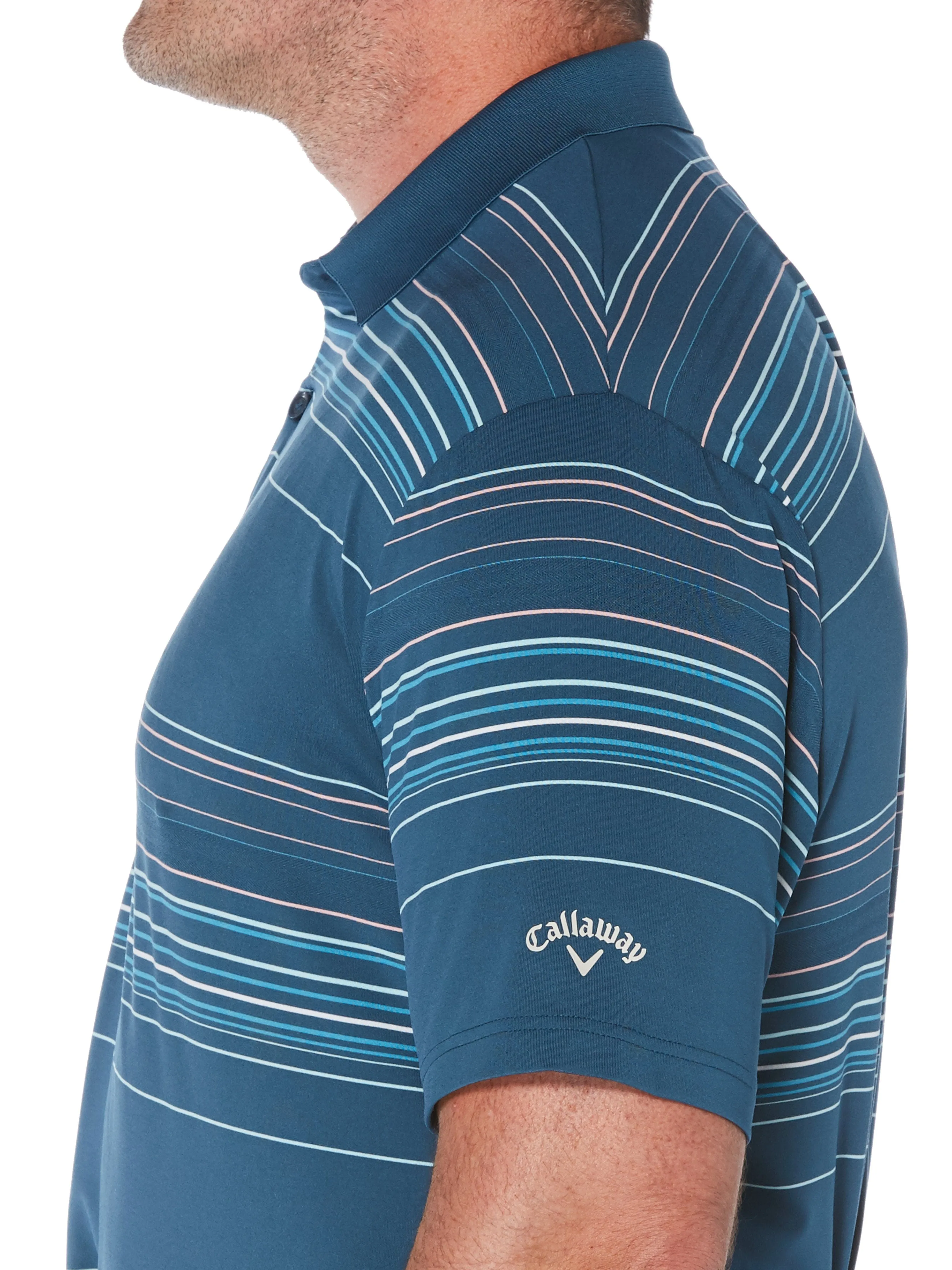 Big & Tall Fine Line Roadmap Stripe Polo