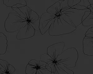 Black Contzen 4 955235 Wallpaper
