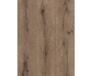 Brown Black Forest 514438 Wallpaper