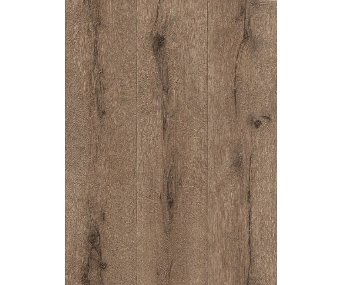 Brown Black Forest 514438 Wallpaper