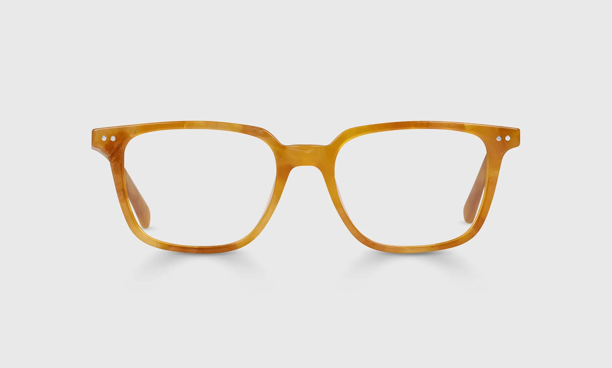 C Suite Sunglasses