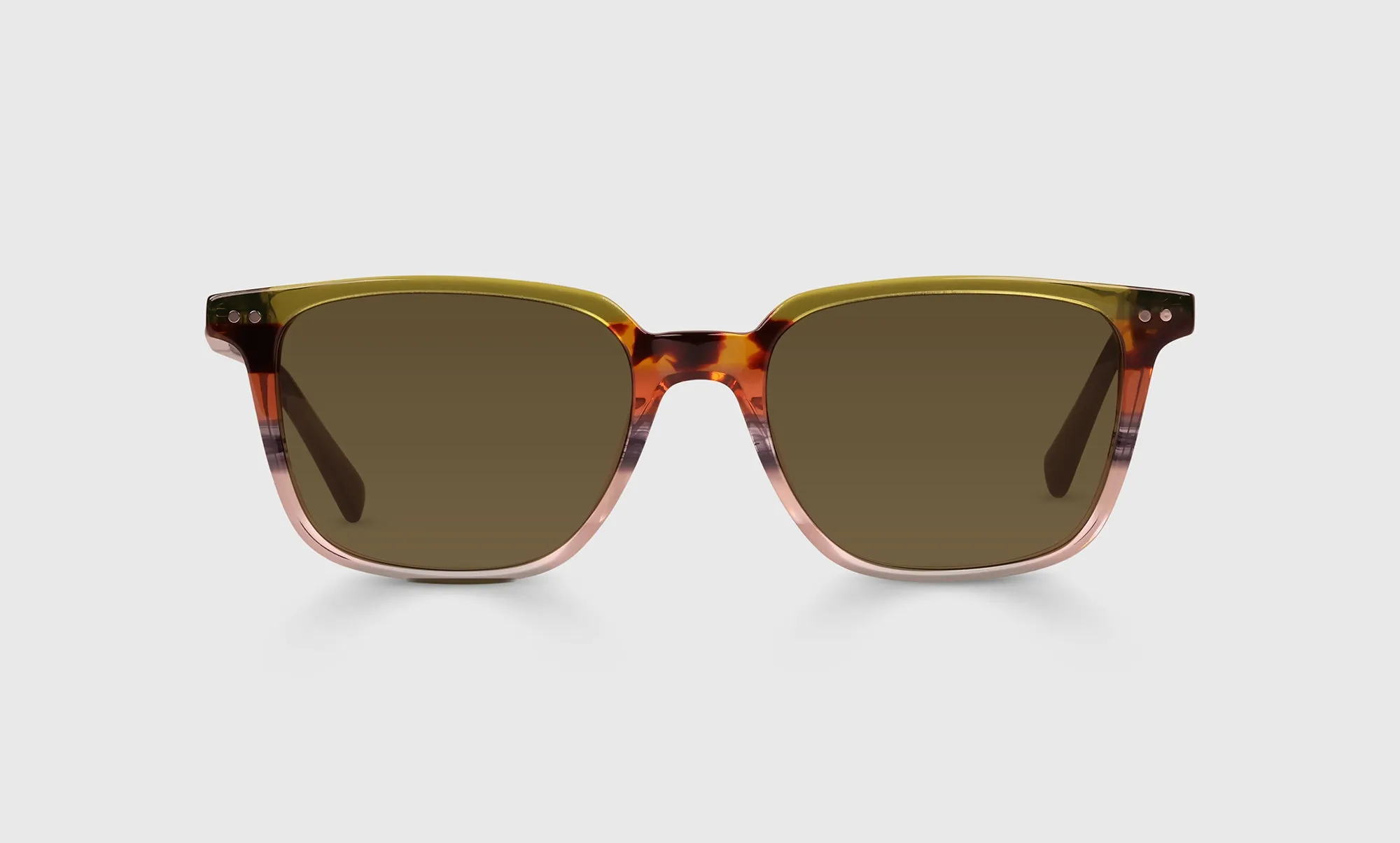 C Suite Sunglasses