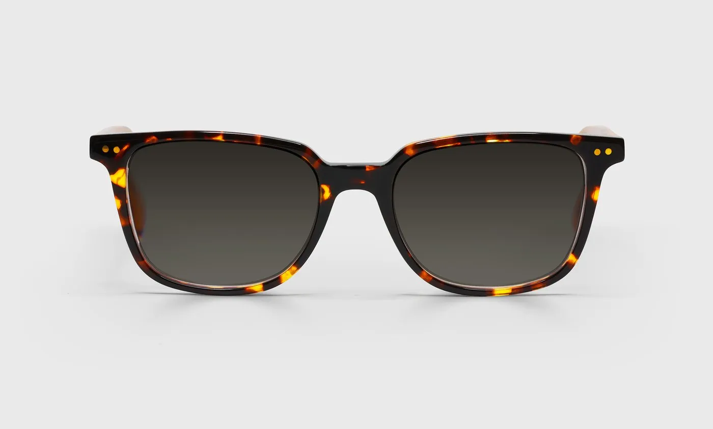 C Suite Sunglasses