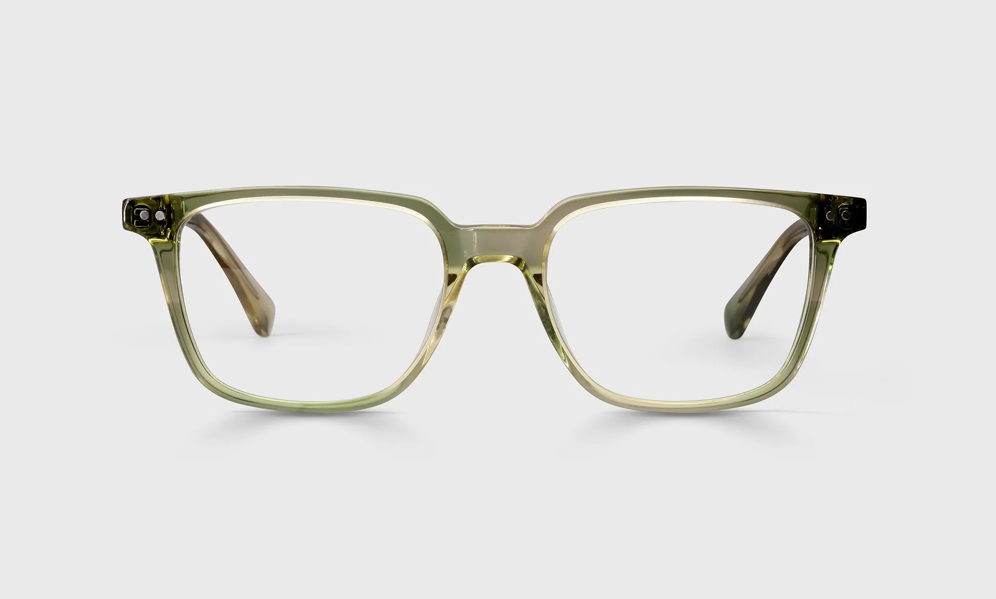 C Suite Sunglasses