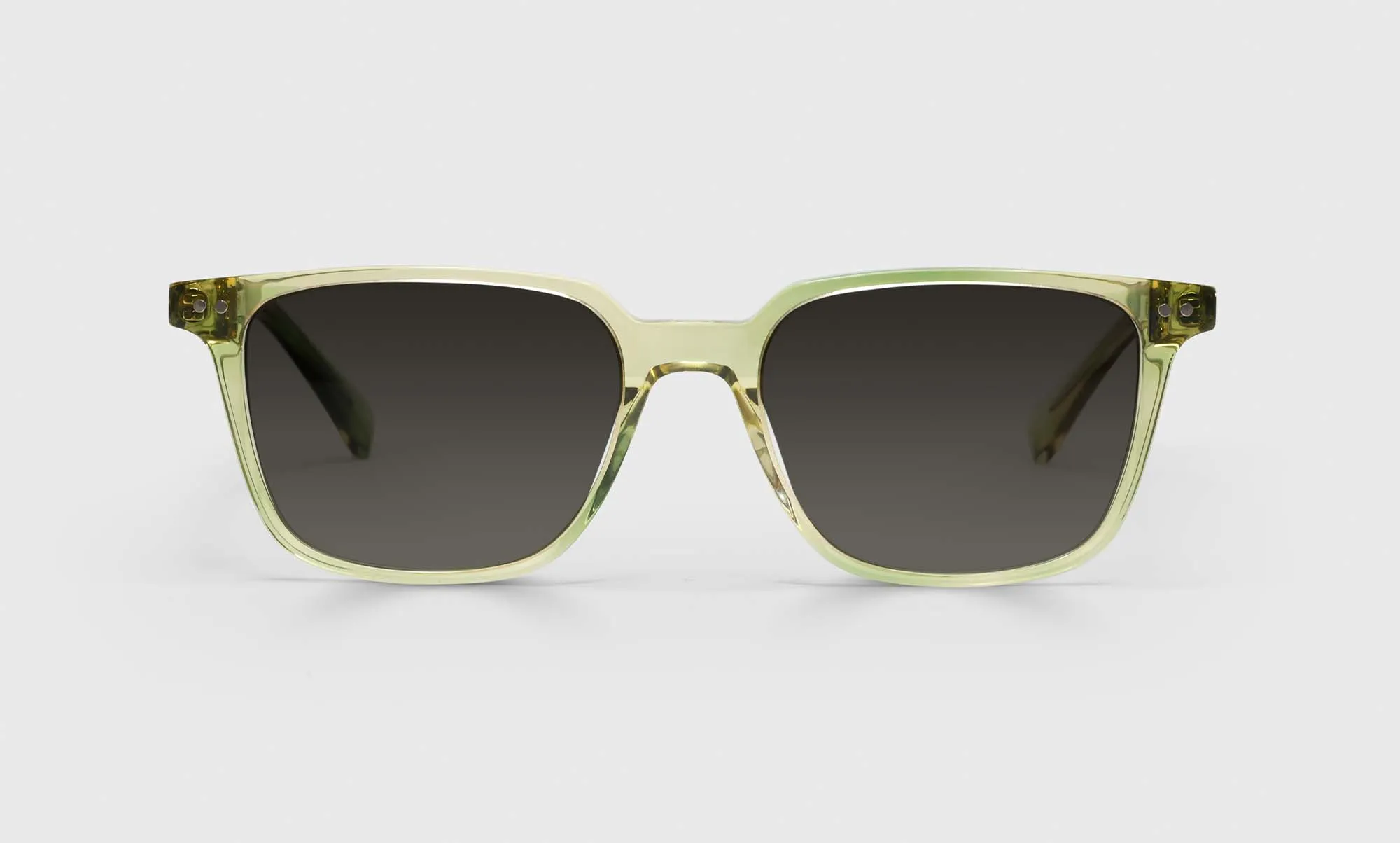 C Suite Sunglasses