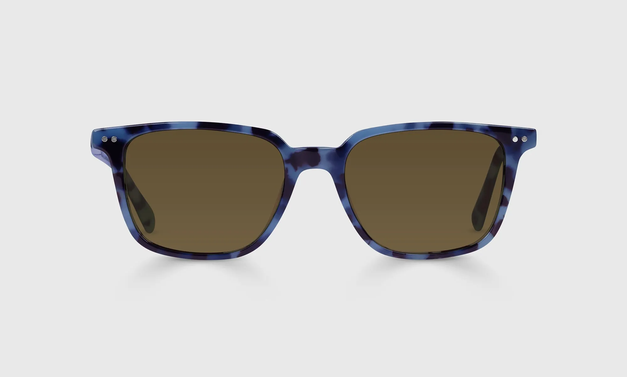 C Suite Sunglasses