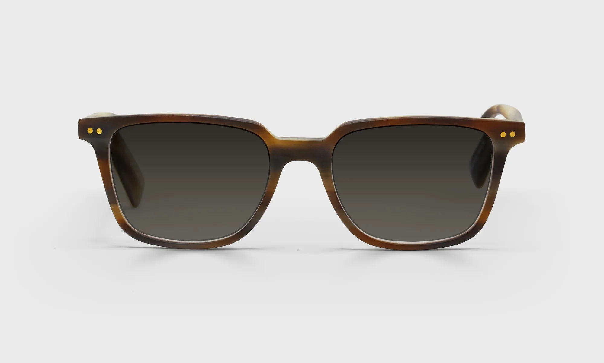 C Suite Sunglasses