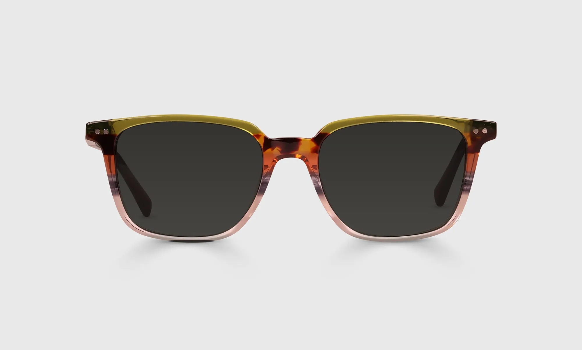 C Suite Sunglasses