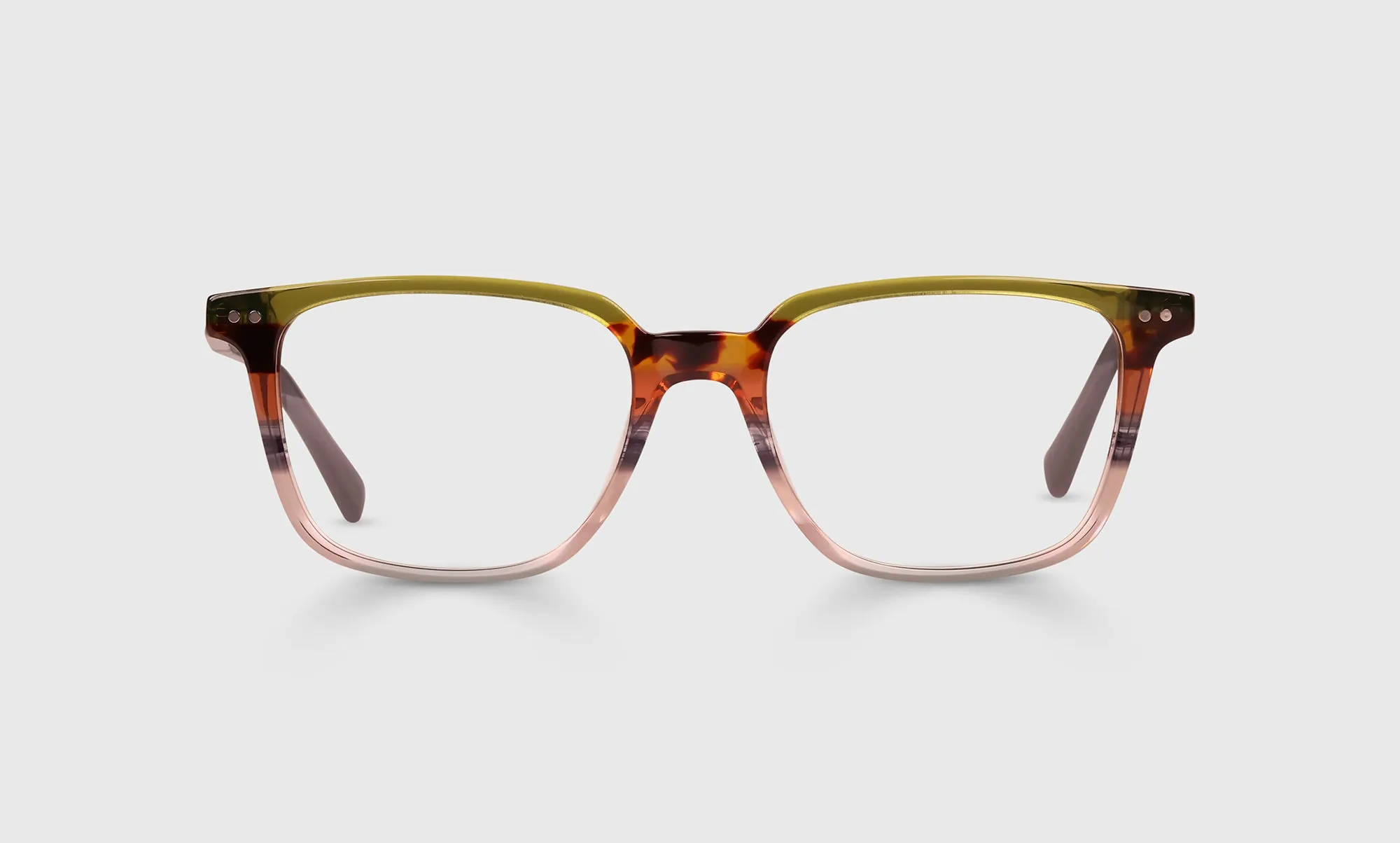 C Suite Sunglasses