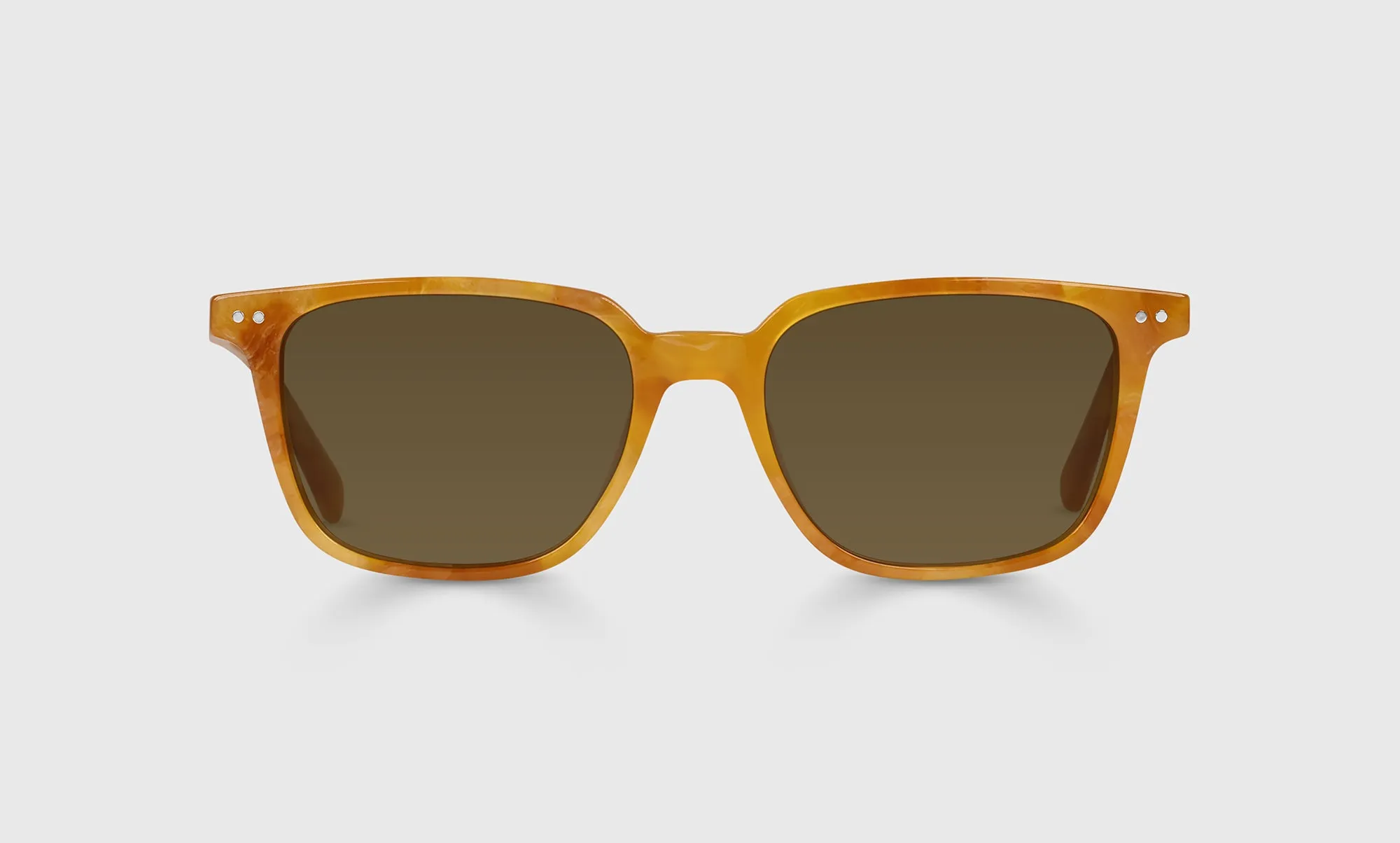 C Suite Sunglasses