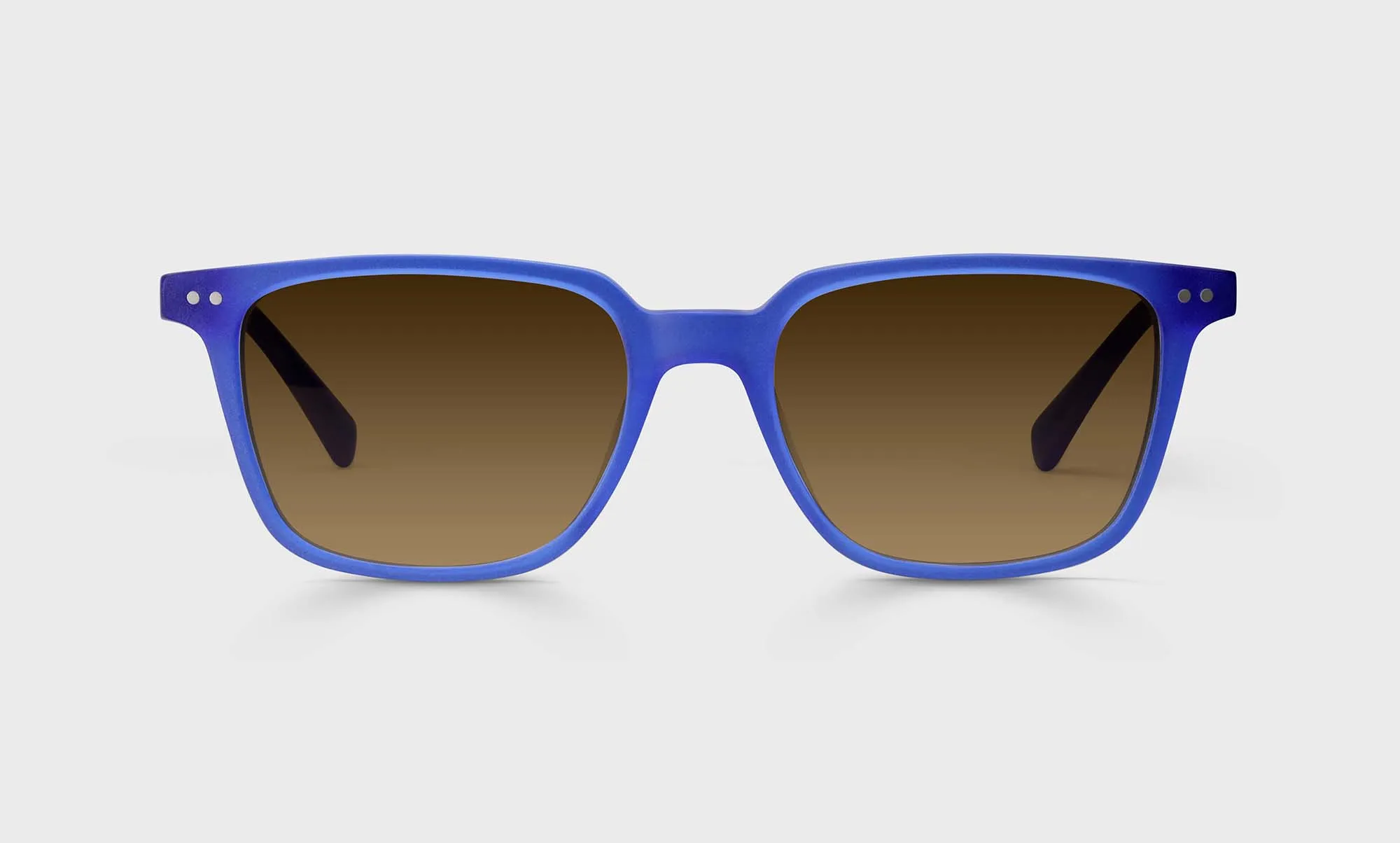 C Suite Sunglasses