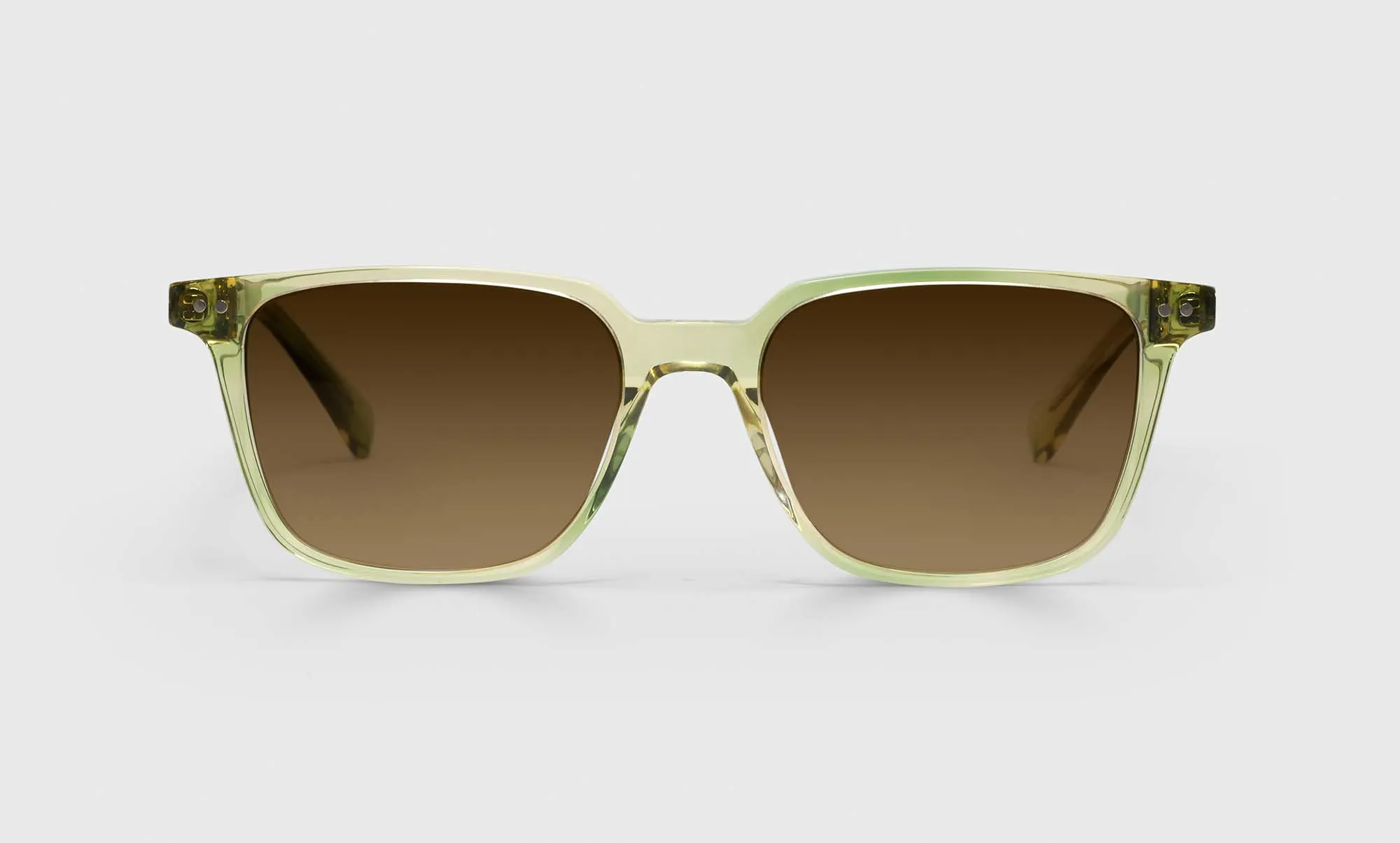 C Suite Sunglasses