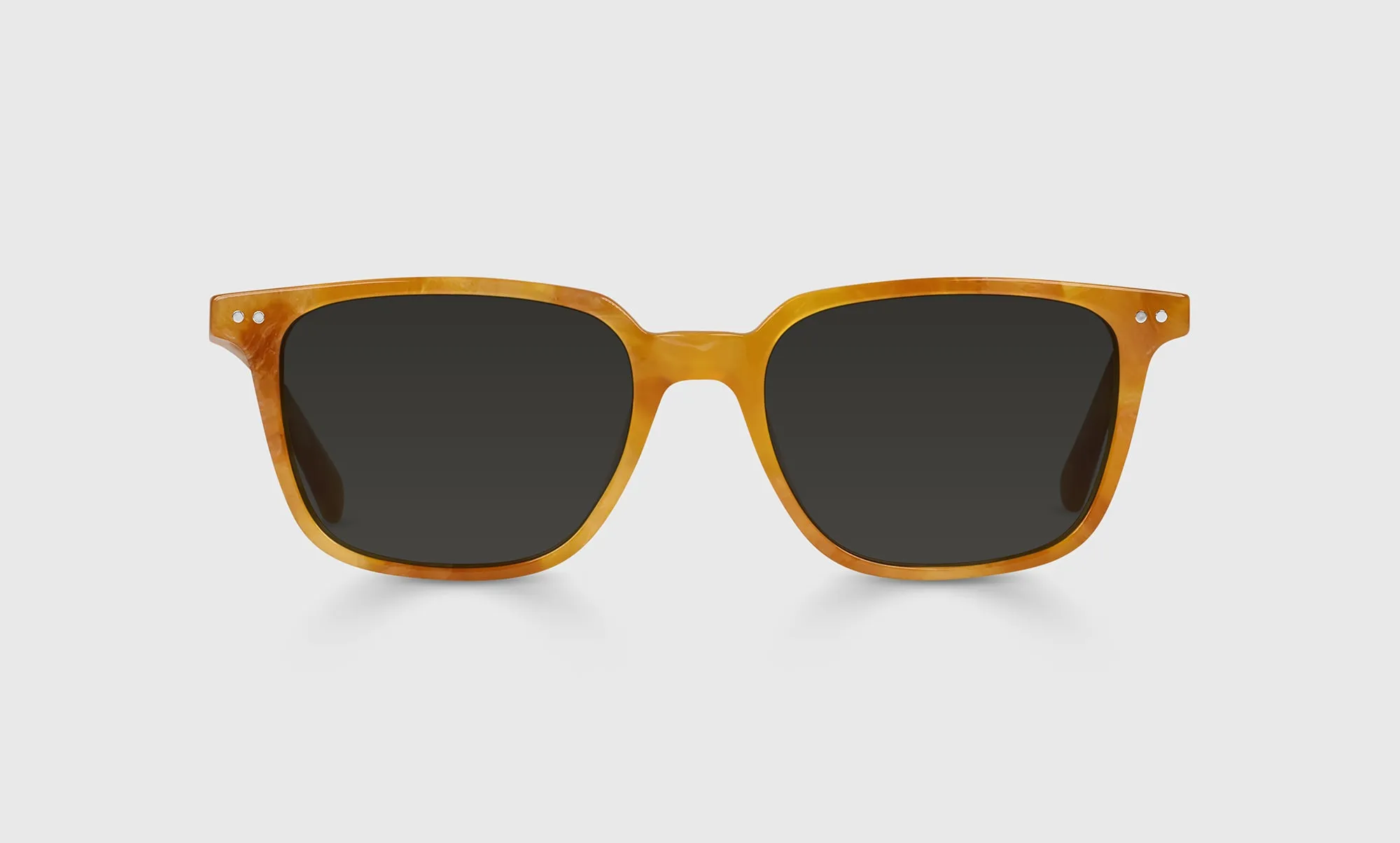 C Suite Sunglasses