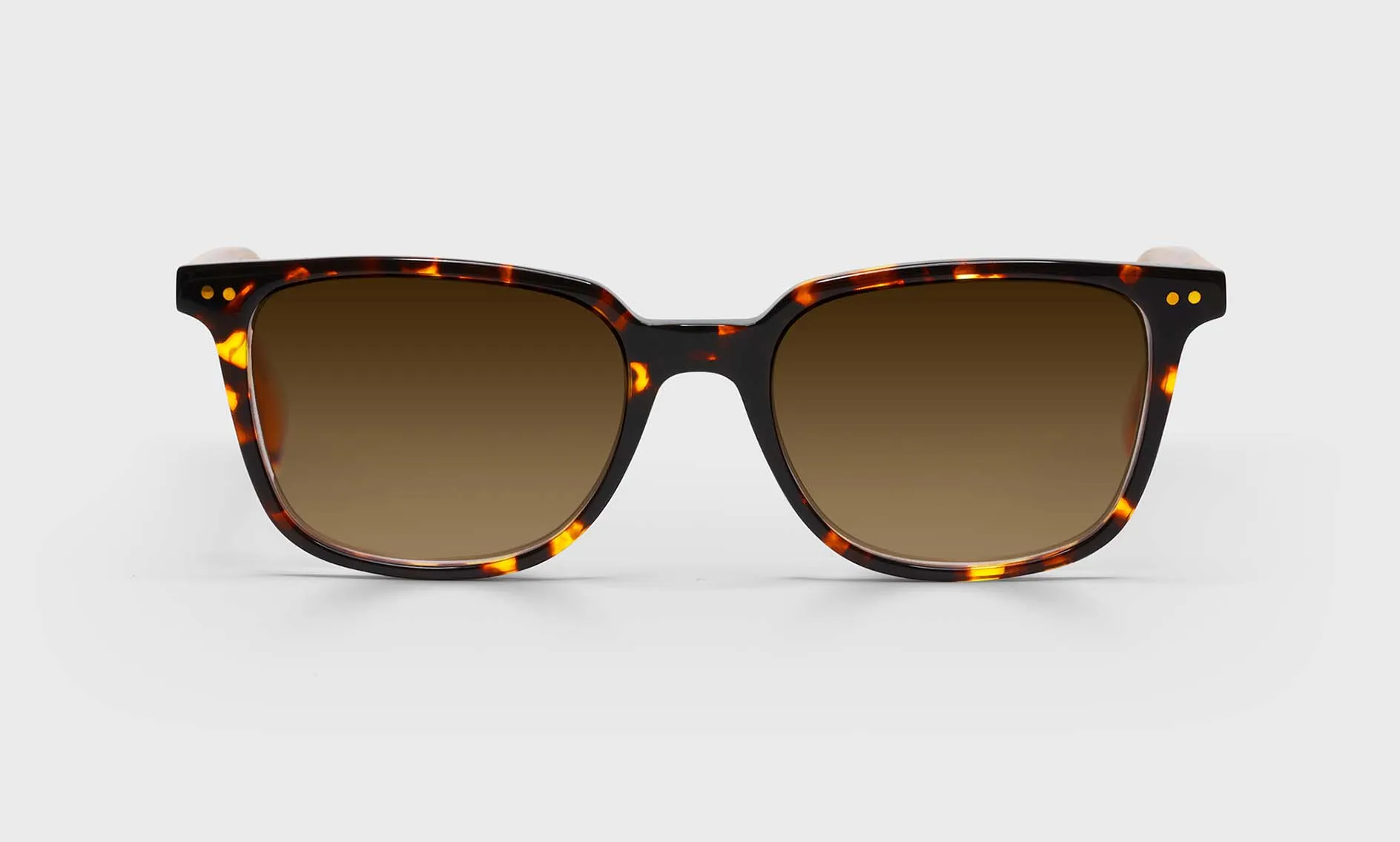 C Suite Sunglasses