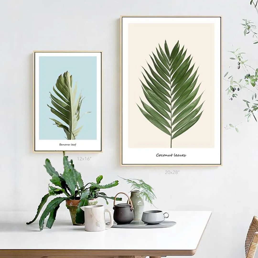 Coconut Leaves