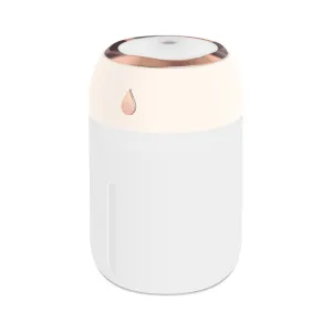 Convenient Portable Mini Humidifier