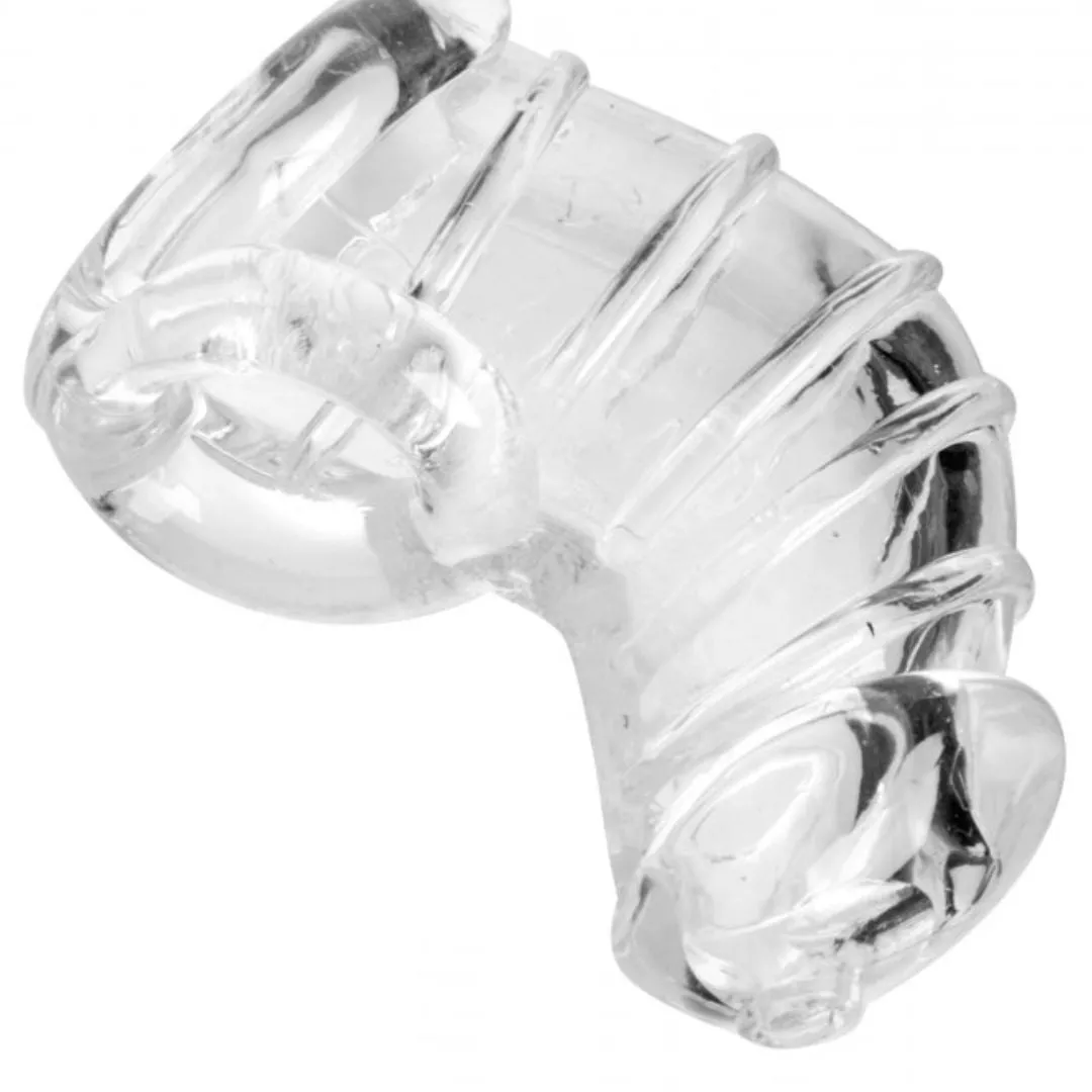 Detained Soft Body Penis Chastity Cage