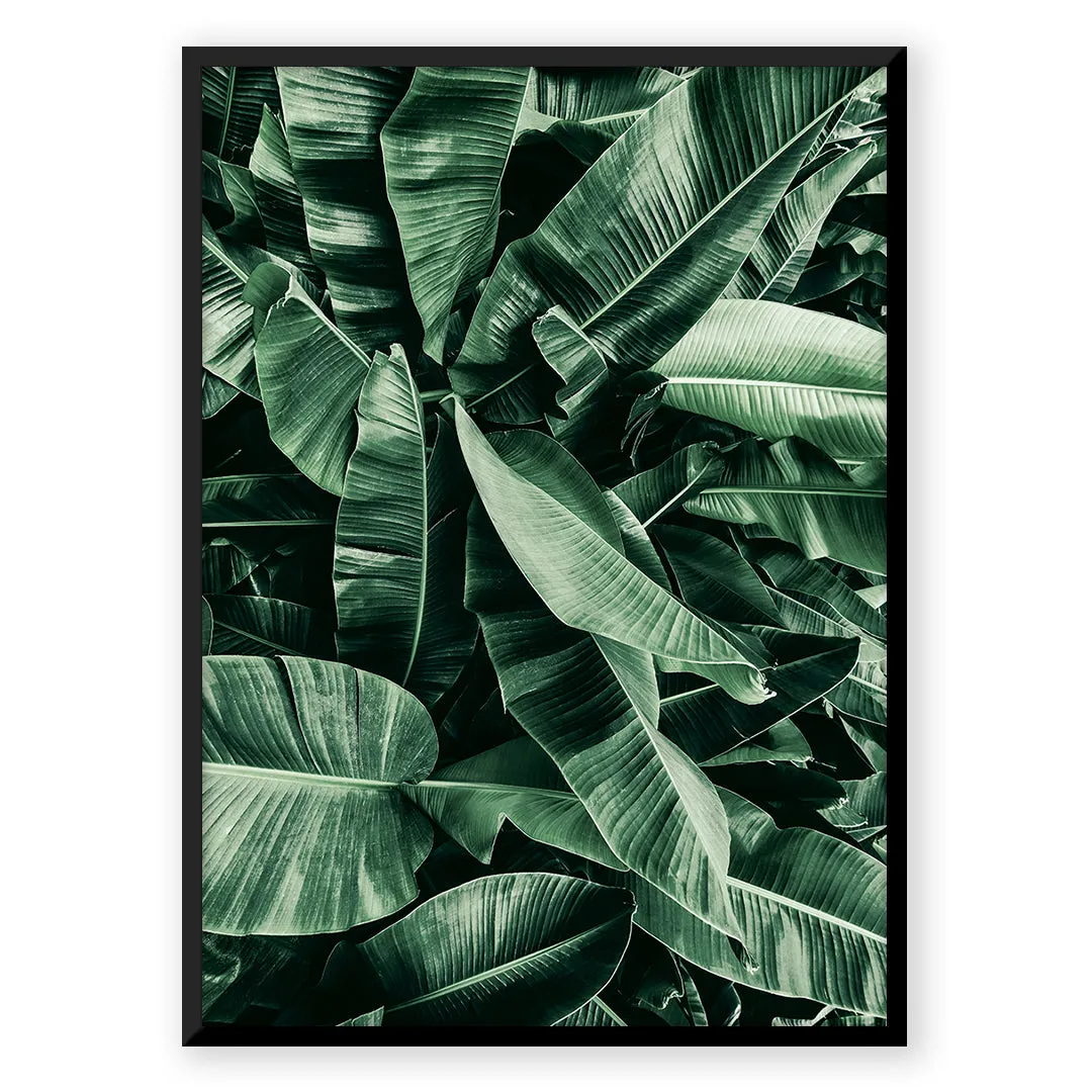 Green Leafs