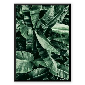 Green Leafs
