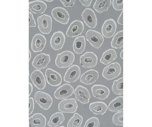 Grey Mart Visser 48182 Wallpaper