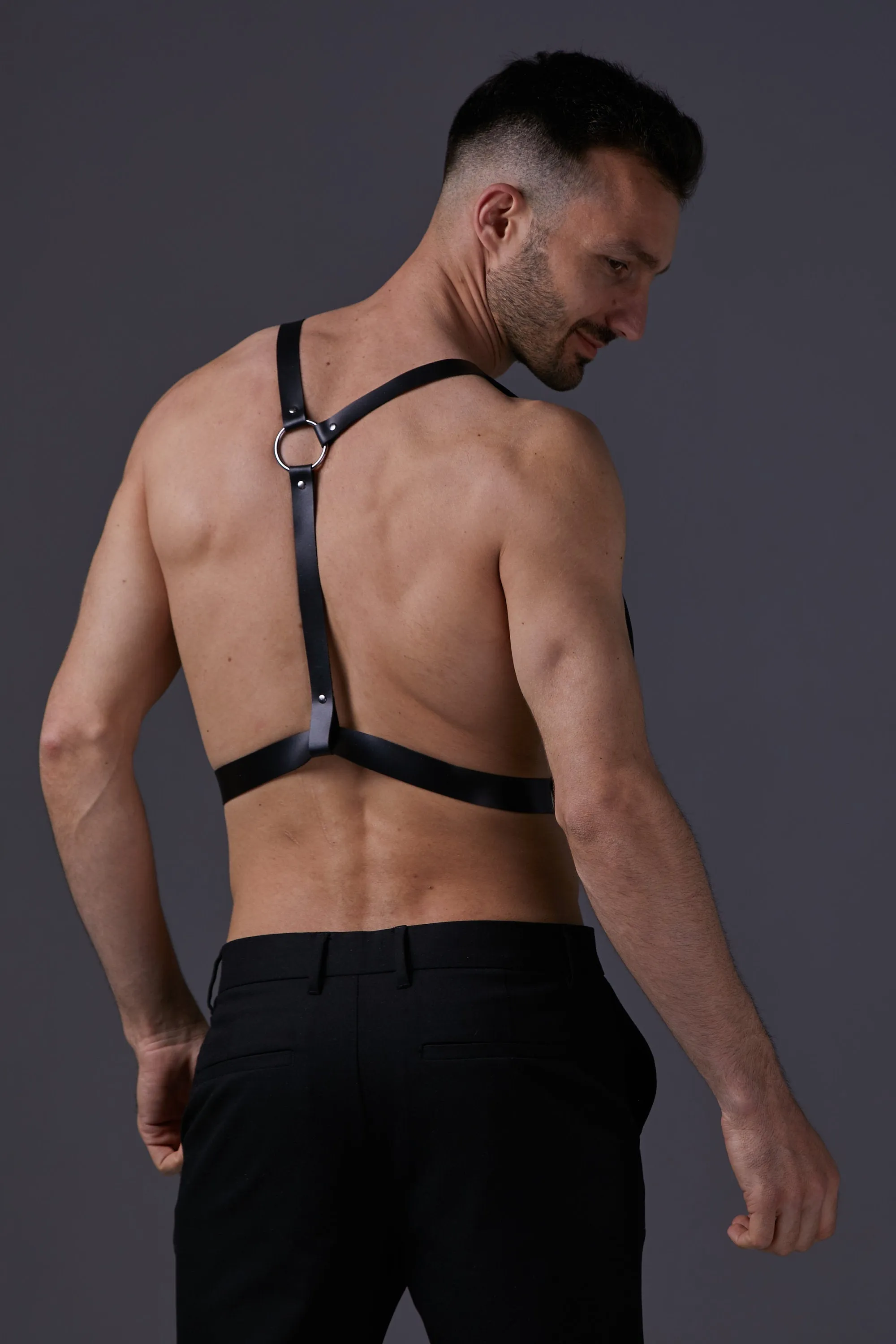 Harness "Nobilis"