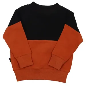 Kids Horizontal Color-block Sweat Top
