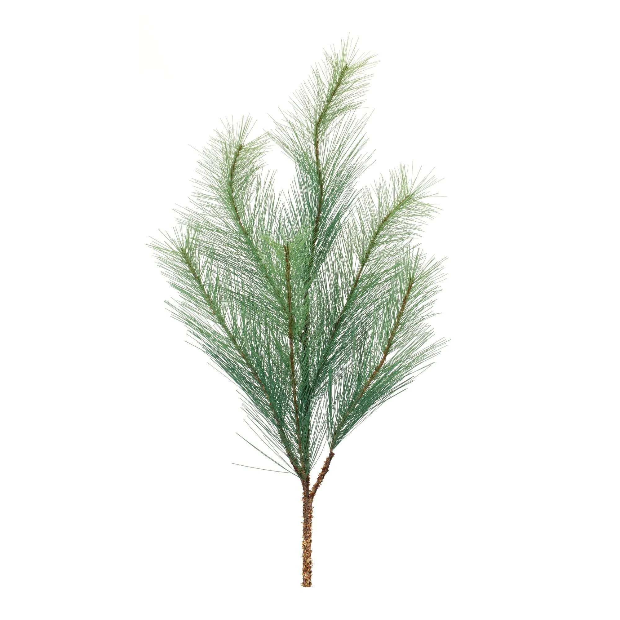 Long Needle Pine Spray (Set of 6)