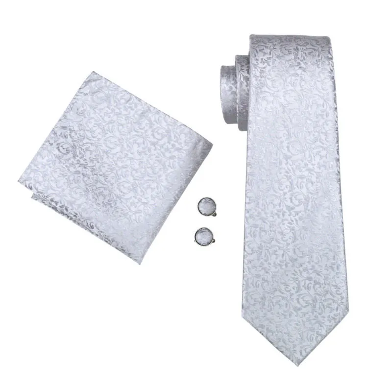 Men`s Tie Silver
