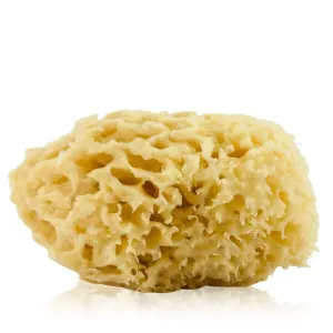 Natural Sea Sponge