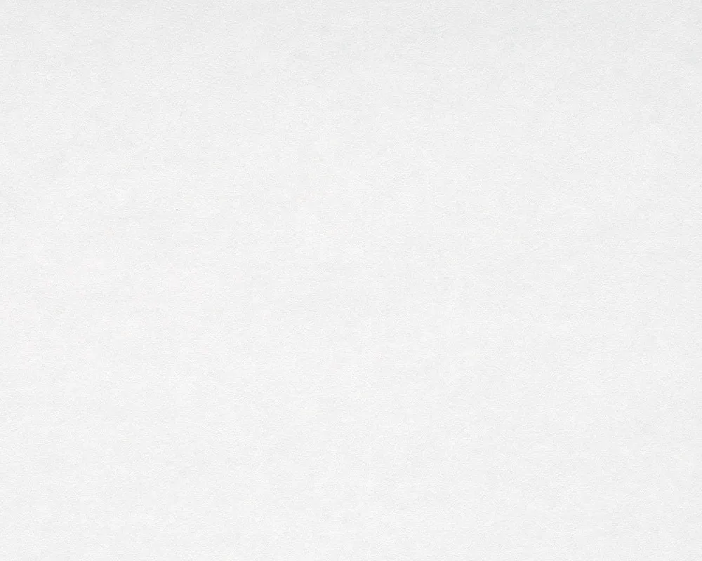 Paintable Meistervlies Pro/Protect 200013 Wallpaper