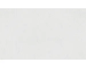 Paintable Meistervlies Pro/Protect 967718 Wallpaper