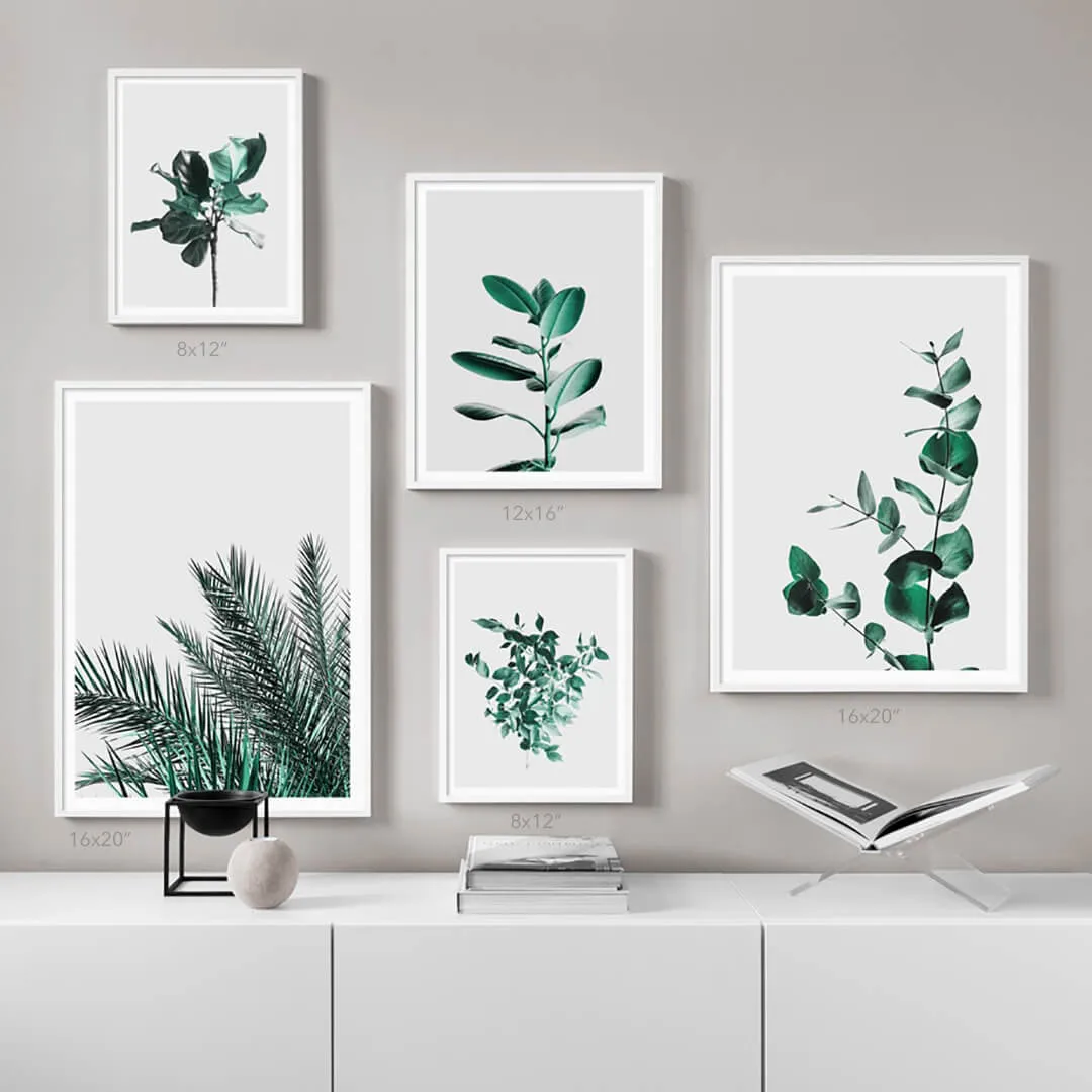 Palm