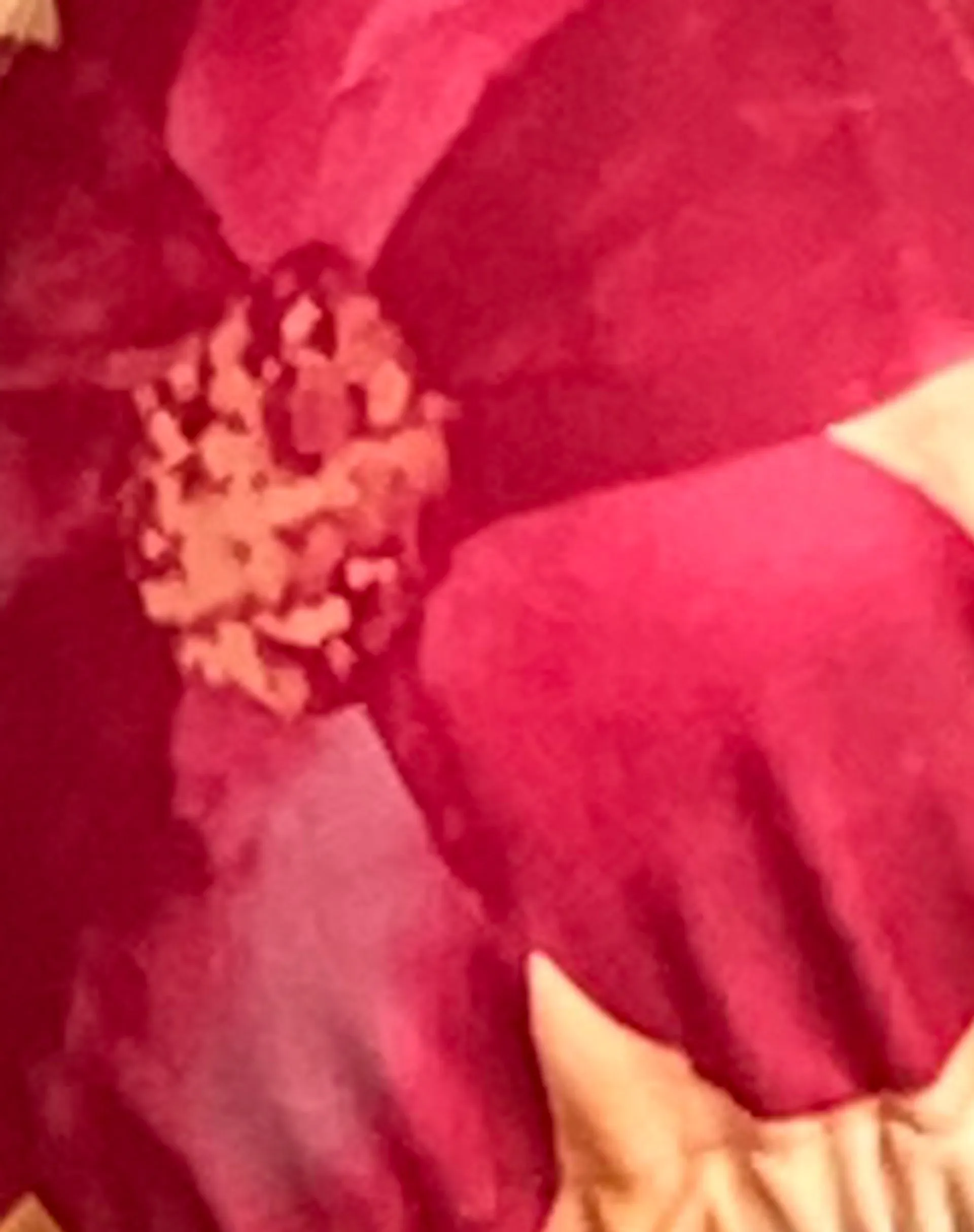 Pami Bikini Top in Orange Flower