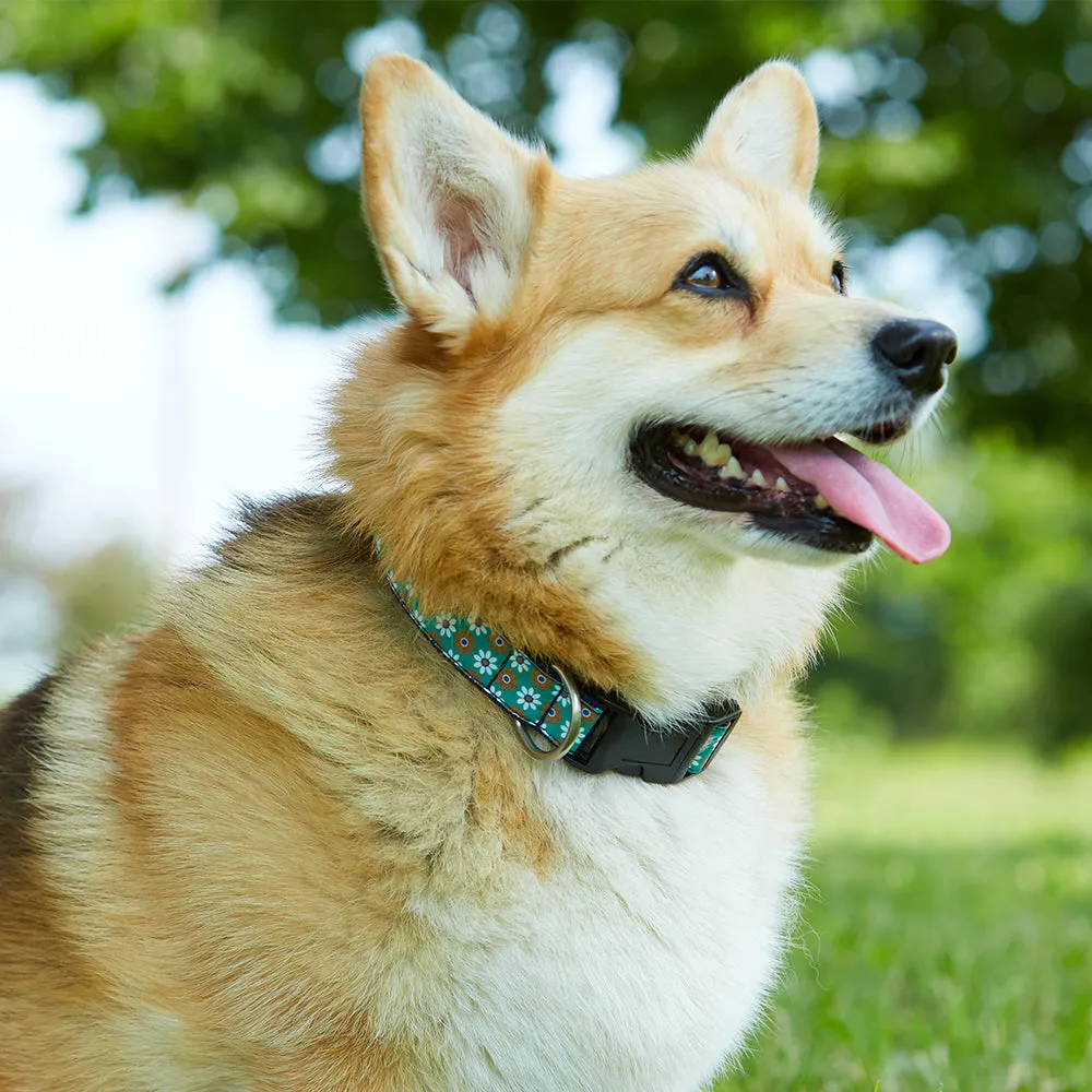 Pandeeric - Dog Collar