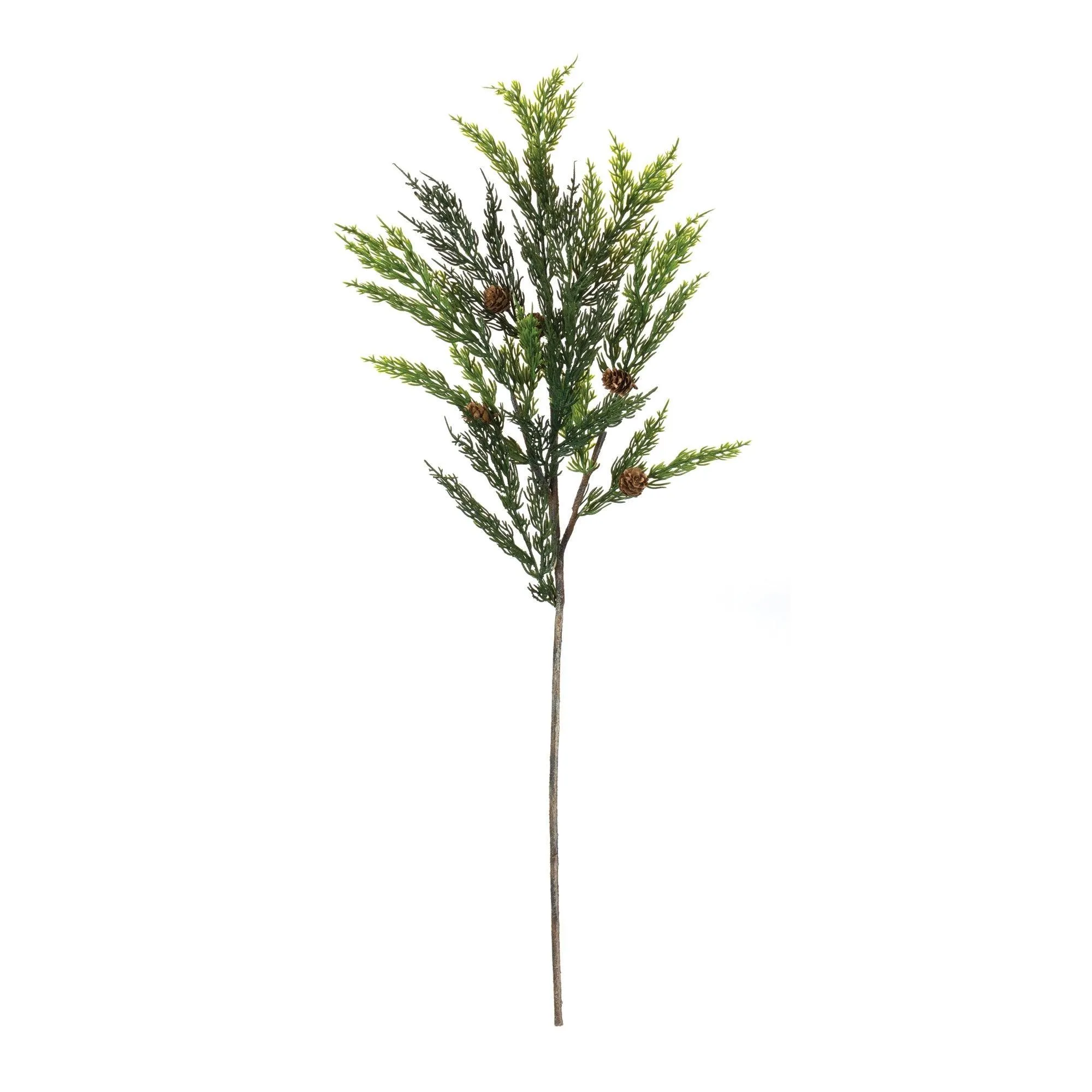 Pine Spray (Set of 6)