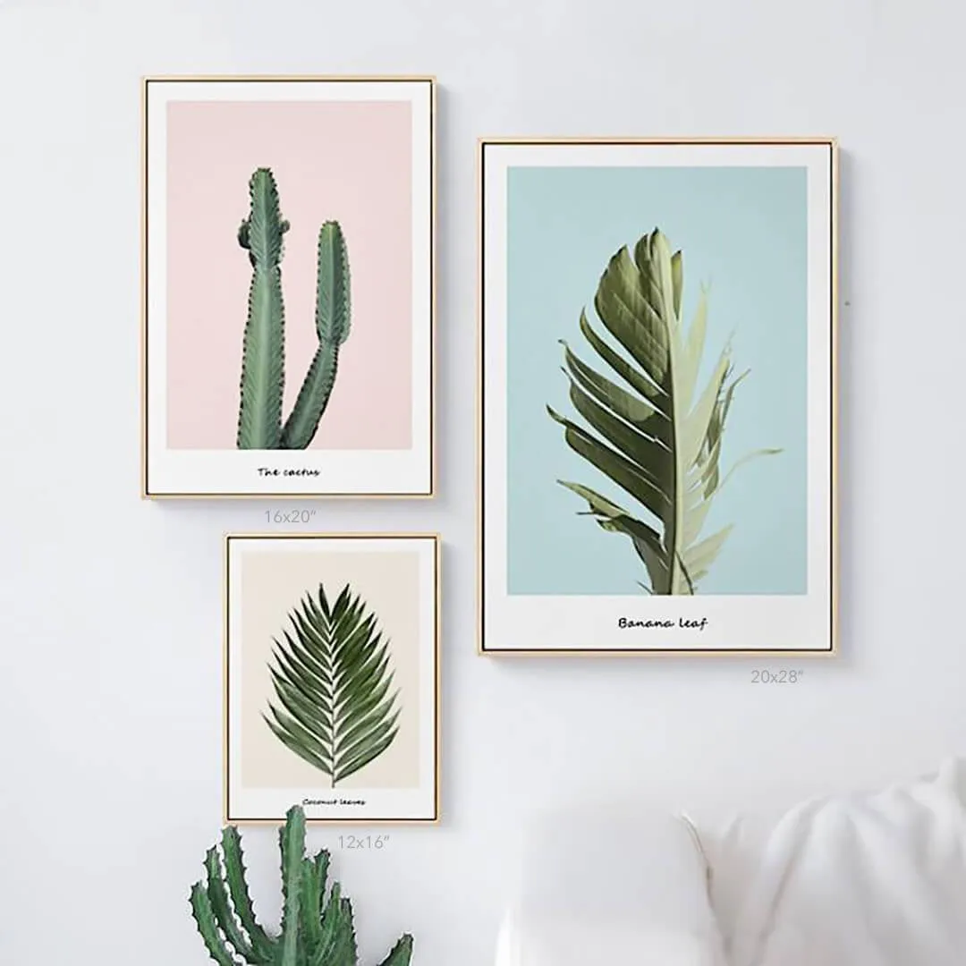 Pink Cactus
