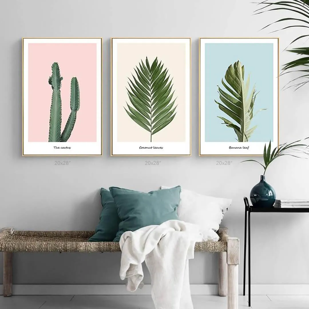 Pink Cactus