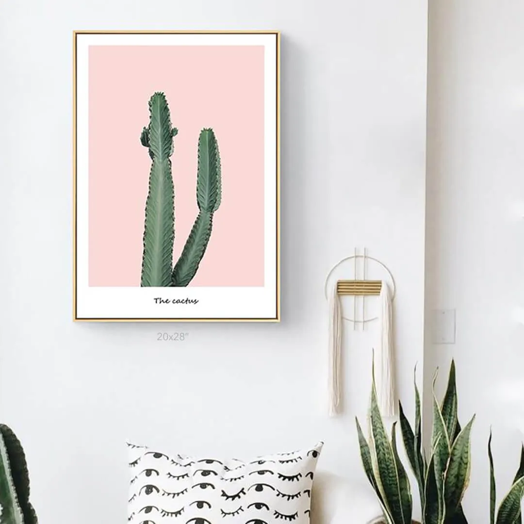Pink Cactus