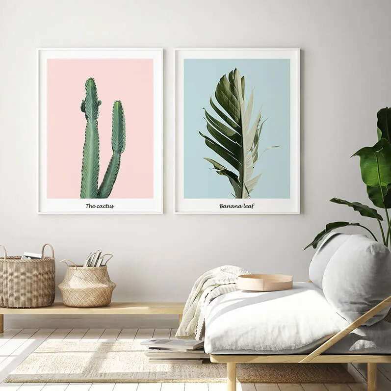 Pink Cactus