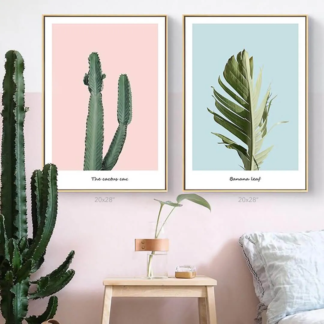 Pink Cactus
