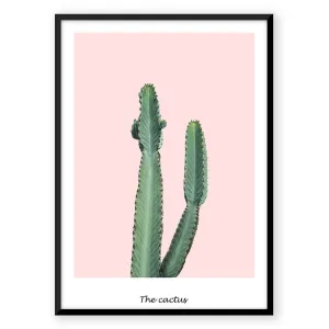 Pink Cactus