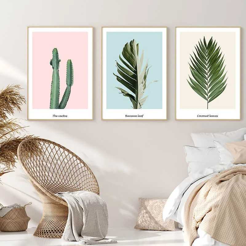 Pink Cactus