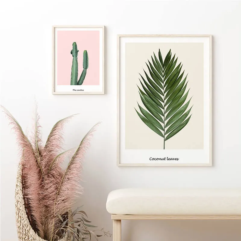 Pink Cactus