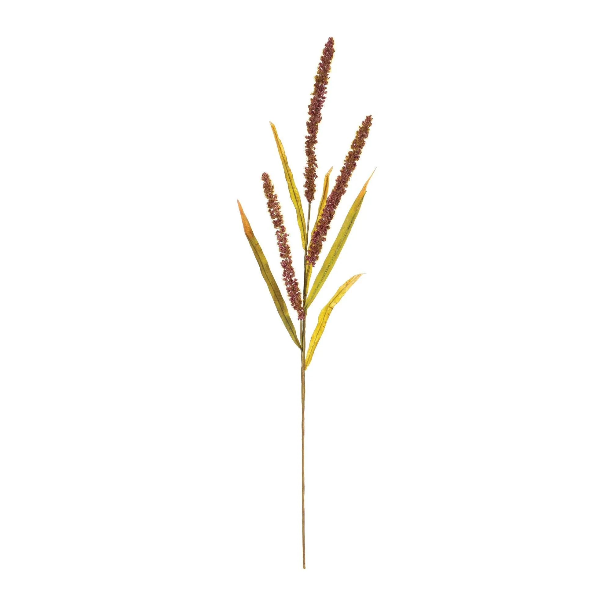Seeded Plume Spray (Set of 12)