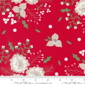 Starberry, Holiday Rose in Red