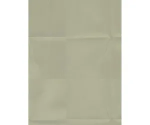 Taupe Buffer 46822 Wallpaper