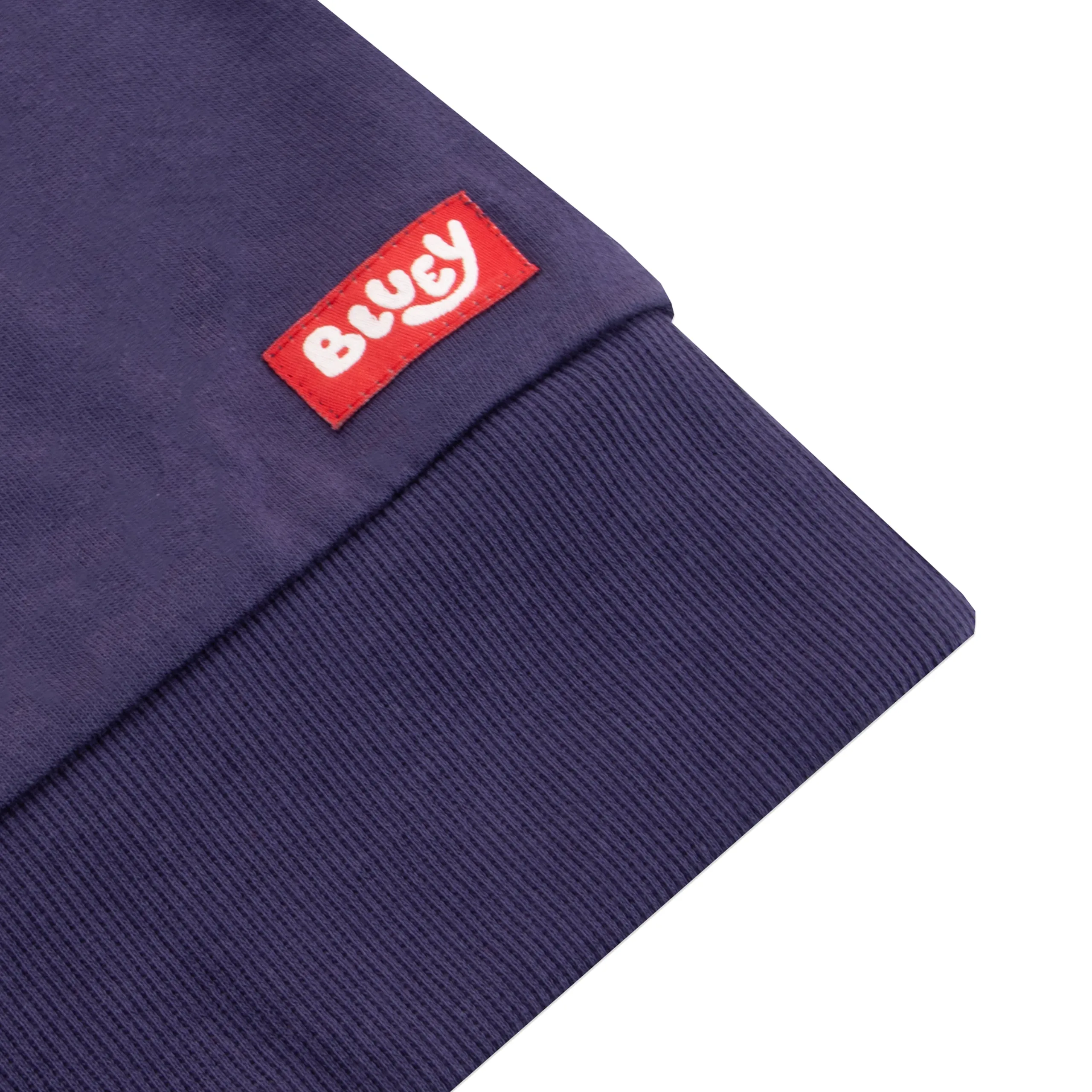 Women’s Bluey Christmas Sweatshirt